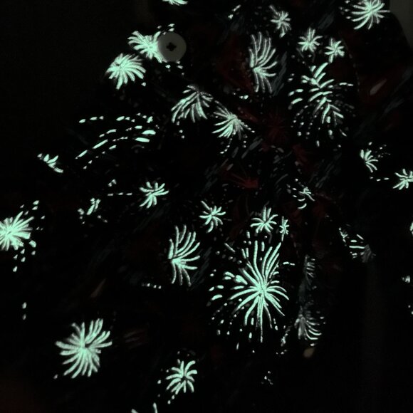 Lilly Pulitzer The Callahan Shorts SZ 8 Sparks Fly Glow in the Dark Patriotic - Picture 13 of 13